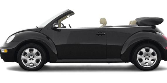 VOLKSWAGEN BEETLE 2003 3VWCD21Y73M319332 image