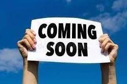 VOLKSWAGEN BEETLE 2005 3VWCM31Y35M311074 image