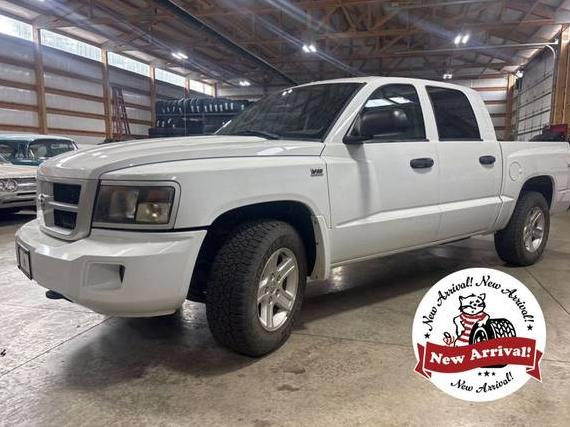 DODGE DAKOTA 2010 1D7RW3GP0AS205758 image