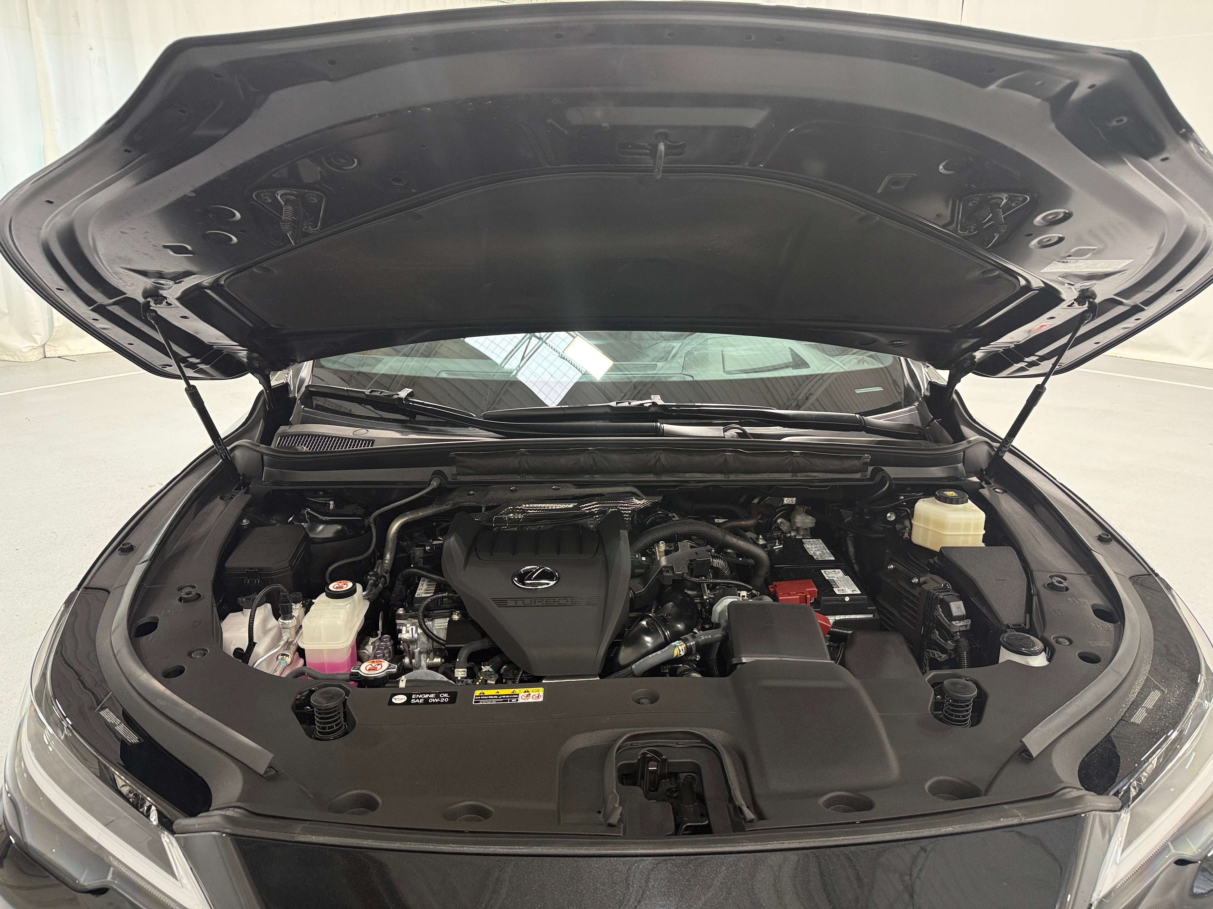 lexus rx 2024 2T2BAMBAXRC029619 image lexus rx 2024 2T2BAMBAXRC029619 image