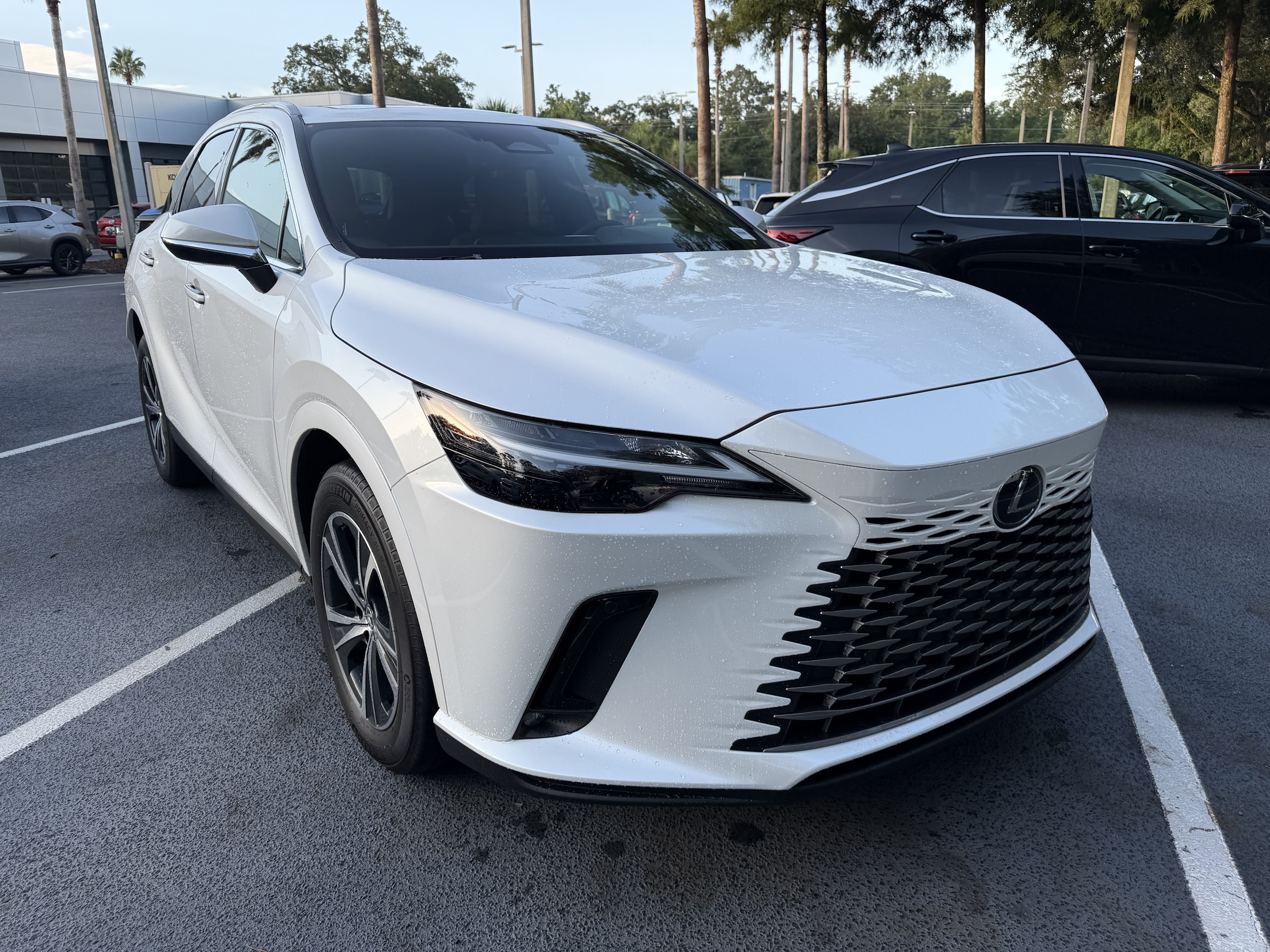 lexus rx 2025 2T2BAMBA0SC065891 image lexus rx 2025 2T2BAMBA0SC065891 image
