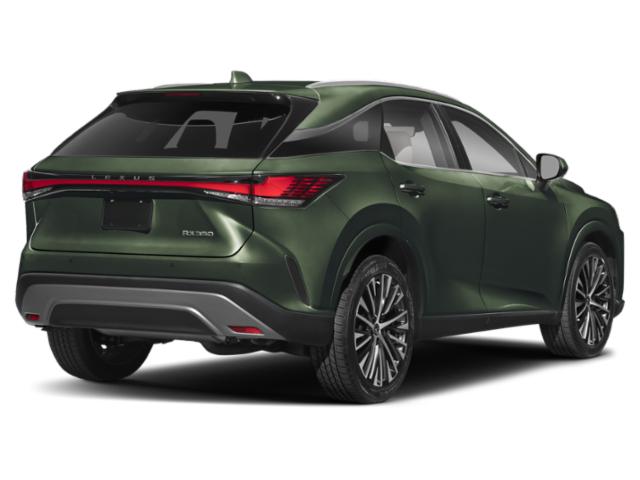 lexus rx 2025 2T2BAMCA3SC095031 image lexus rx 2025 2T2BAMCA3SC095031 image