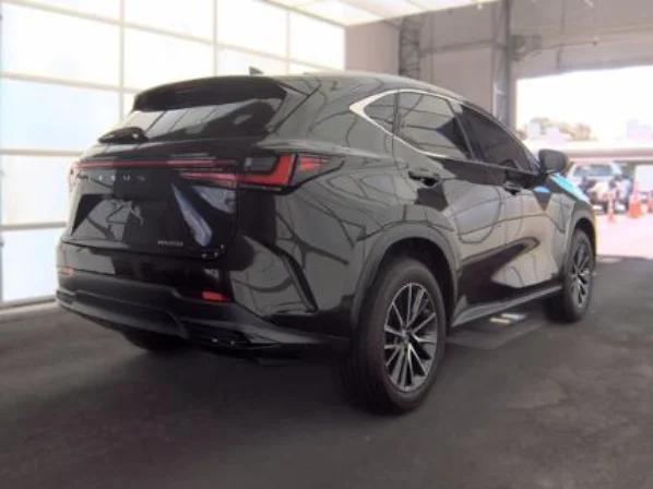 lexus nx 2023 2T2GDCAZ3PC003715 image lexus nx 2023 2T2GDCAZ3PC003715 image