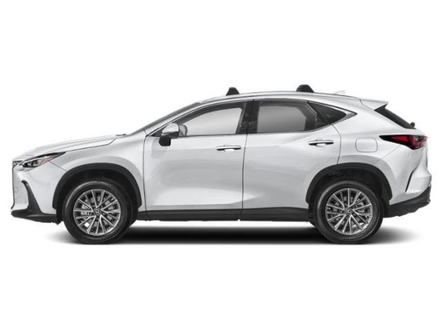 lexus nx 2024 2T2HGCEZXRC038020 image lexus nx 2024 2T2HGCEZXRC038020 image
