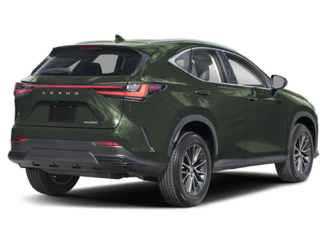 lexus nx 2024 JTJGDCAZ2R2008830 image lexus nx 2024 JTJGDCAZ2R2008830 image