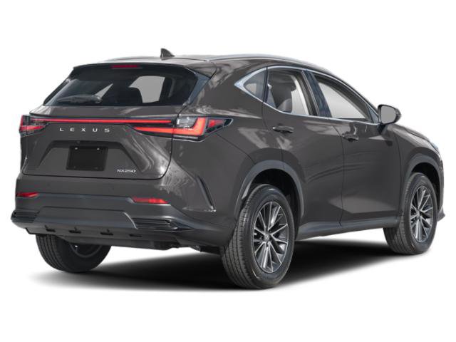 lexus nx 2024 JTJGDCAZXR2012673 image lexus nx 2024 JTJGDCAZXR2012673 image