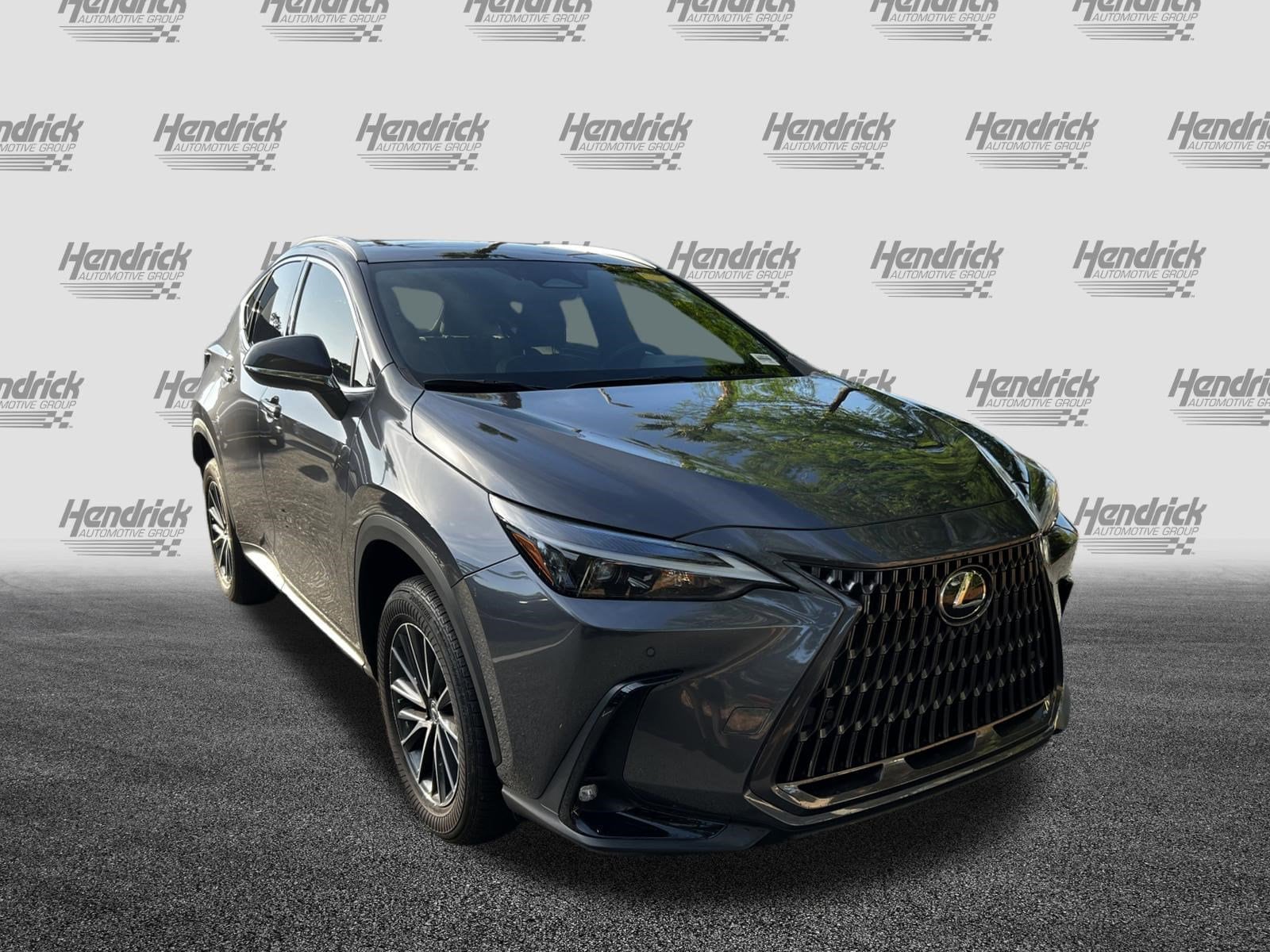 lexus nx 2024 2T2GDCAZ3RC006052 image