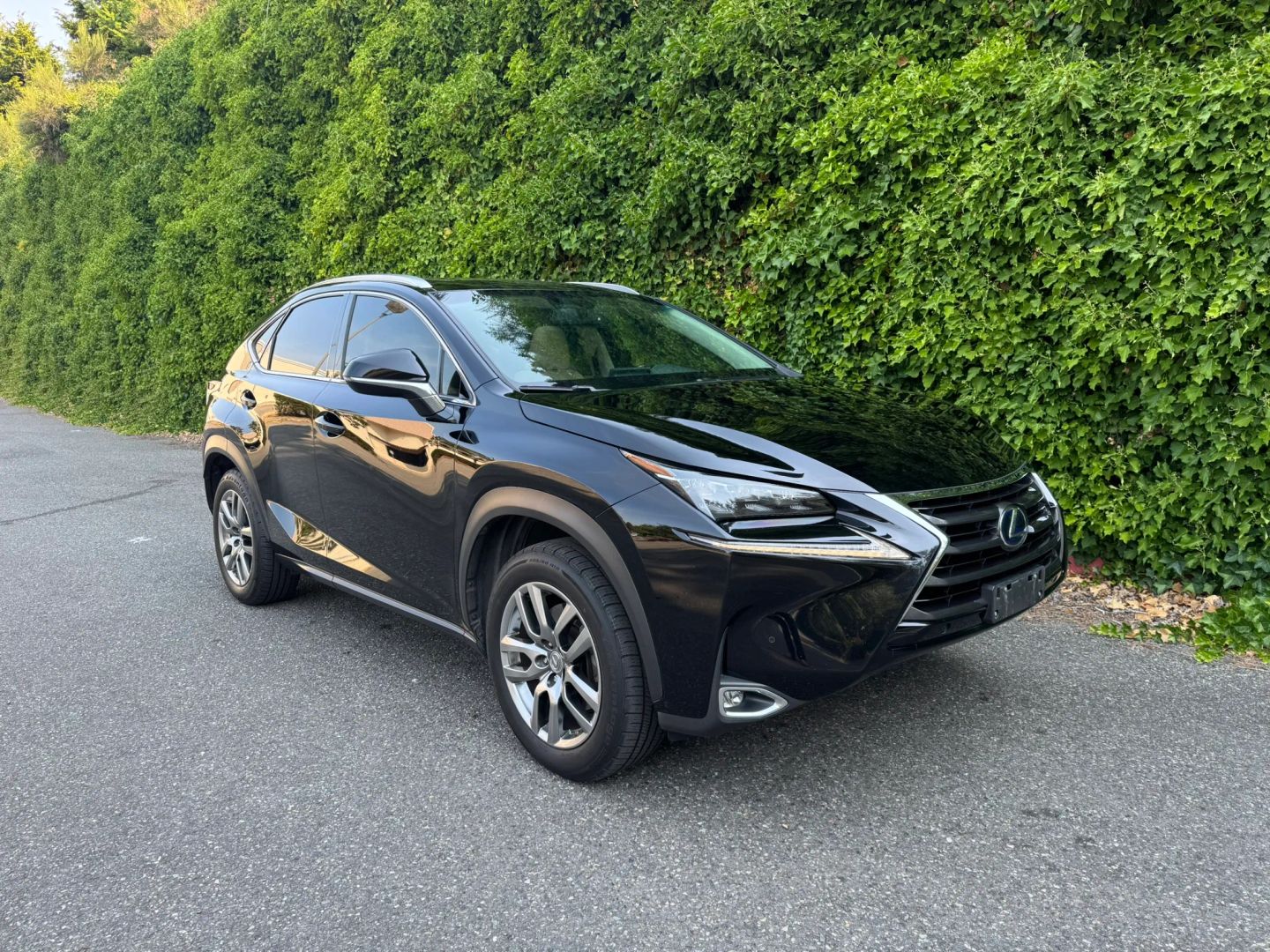 lexus nx 2015 JTJBJRBZ2F2023439 image lexus nx 2015 JTJBJRBZ2F2023439 image