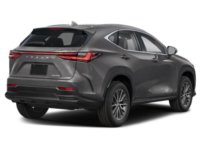 lexus nx 2025 2T2ADCAZ7SC029183 image lexus nx 2025 2T2ADCAZ7SC029183 image