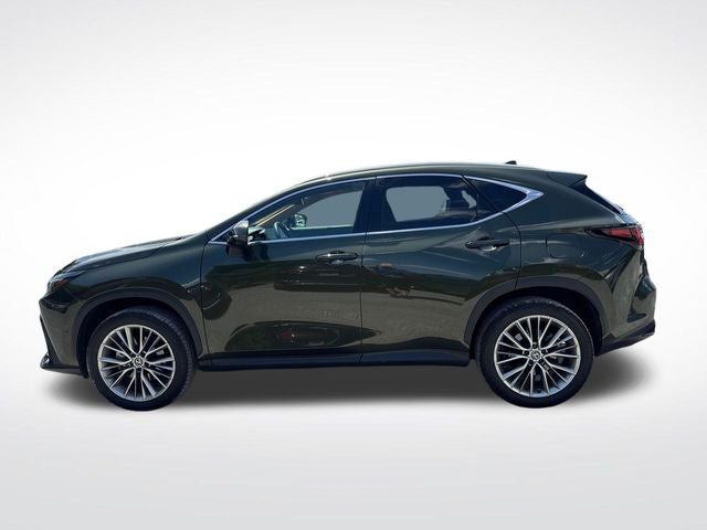 lexus nx 2025 2T2HGCEZ3SC083516 image lexus nx 2025 2T2HGCEZ3SC083516 image
