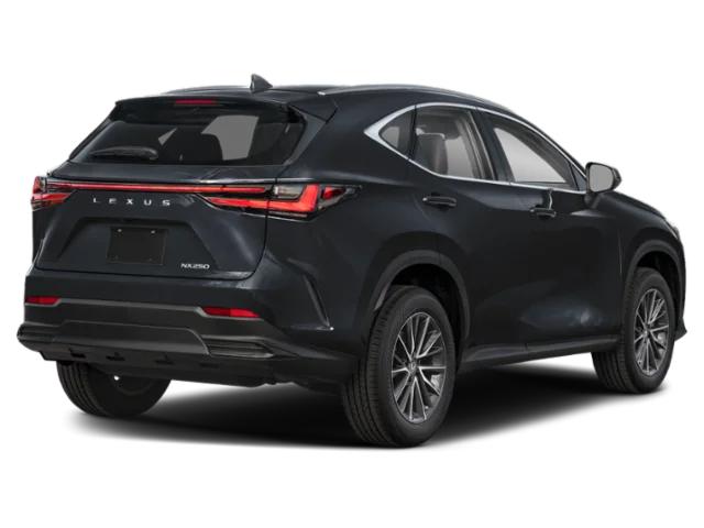lexus nx 2025 2T2ADCAZ0SC026156 image lexus nx 2025 2T2ADCAZ0SC026156 image