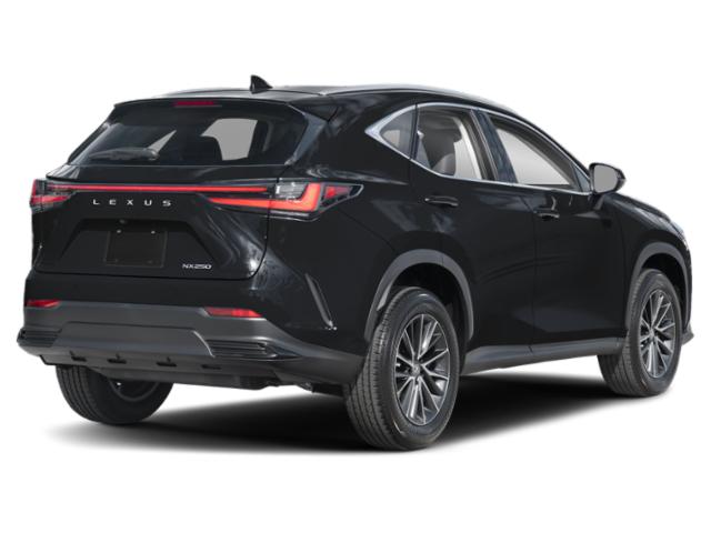lexus nx 2025 2T2GDCAZ1SC028007 image lexus nx 2025 2T2GDCAZ1SC028007 image