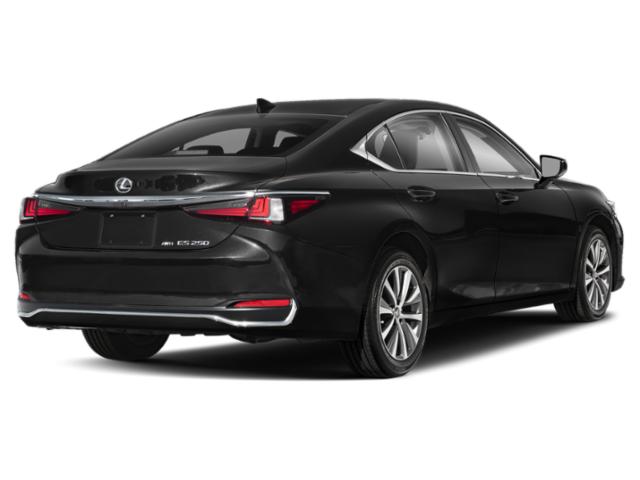lexus es 2021 58AE11D10MU002216 image lexus es 2021 58AE11D10MU002216 image