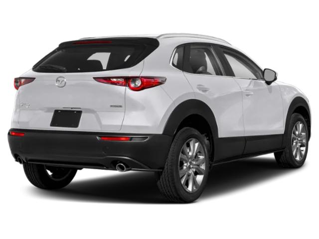 mazda cx-30 2023 3MVDMBCM4PM573876 image mazda cx-30 2023 3MVDMBCM4PM573876 image