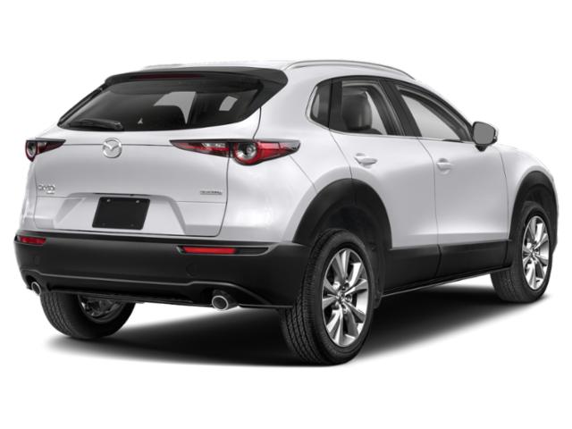 mazda cx-30 2023 3MVDMBDM0PM582749 image mazda cx-30 2023 3MVDMBDM0PM582749 image