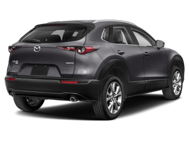 mazda cx-30 2023 3MVDMBDM5PM511661 image mazda cx-30 2023 3MVDMBDM5PM511661 image
