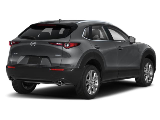 mazda cx-30 2021 3MVDMADL4MM319306 image mazda cx-30 2021 3MVDMADL4MM319306 image