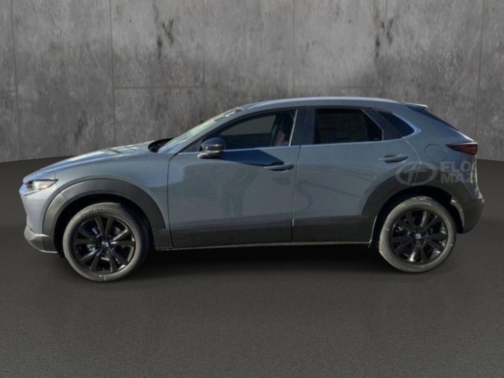 mazda cx-30 2025 3MVDMBCM5SM823280 image mazda cx-30 2025 3MVDMBCM5SM823280 image