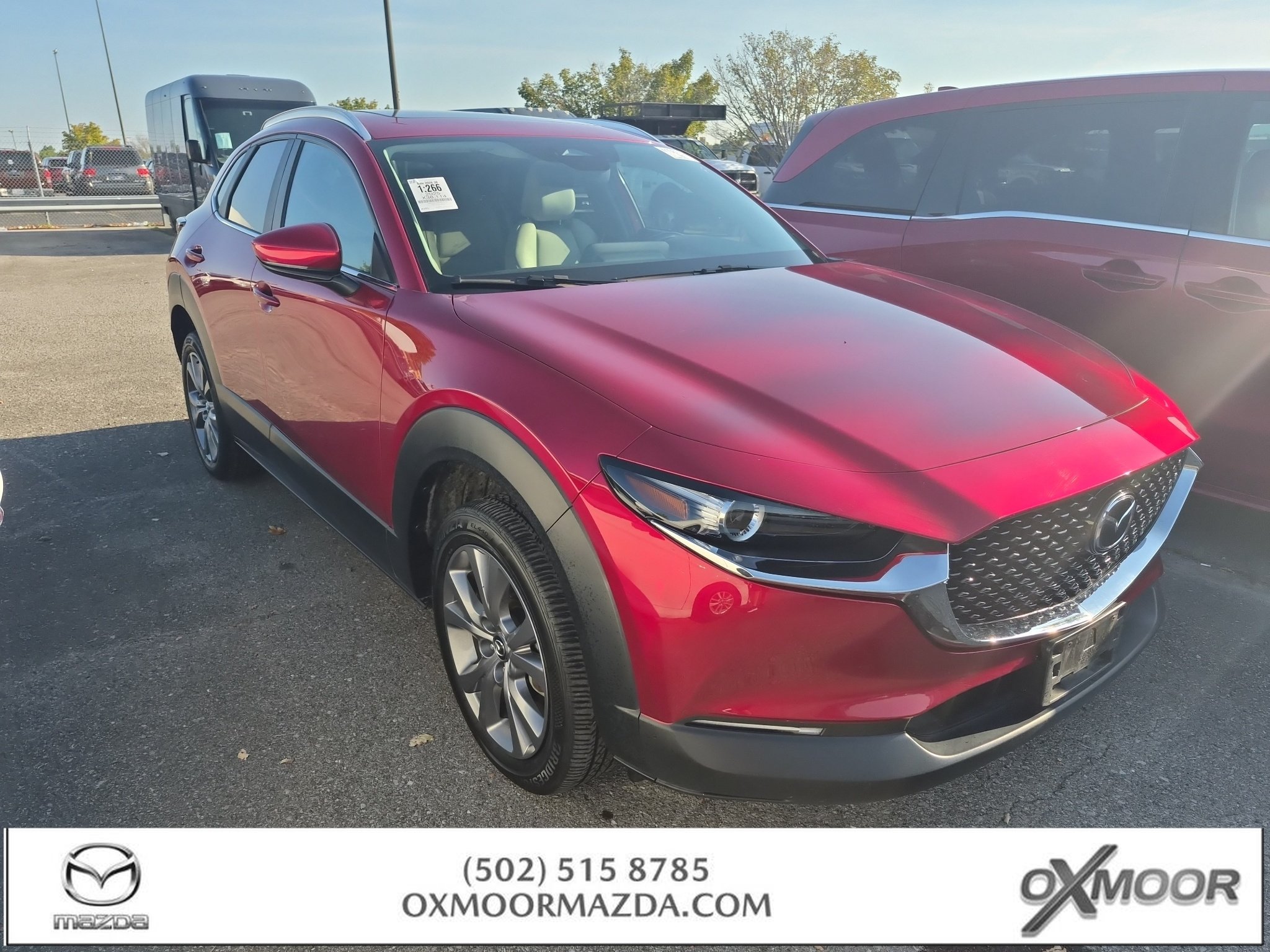 mazda cx-30 2025 3MVDMBCM4SM775173 image mazda cx-30 2025 3MVDMBCM4SM775173 image