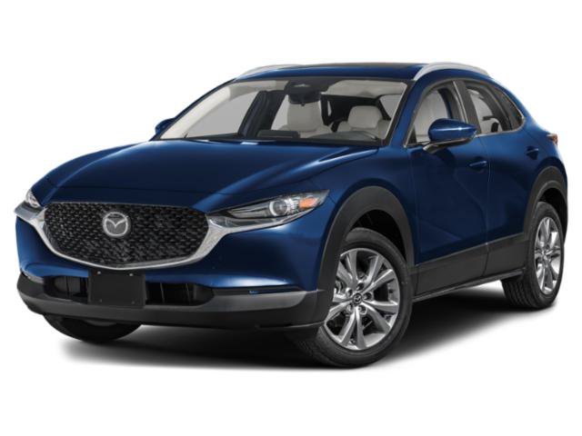 mazda cx-30 2025 3MVDMBCM5SM762030 image mazda cx-30 2025 3MVDMBCM5SM762030 image