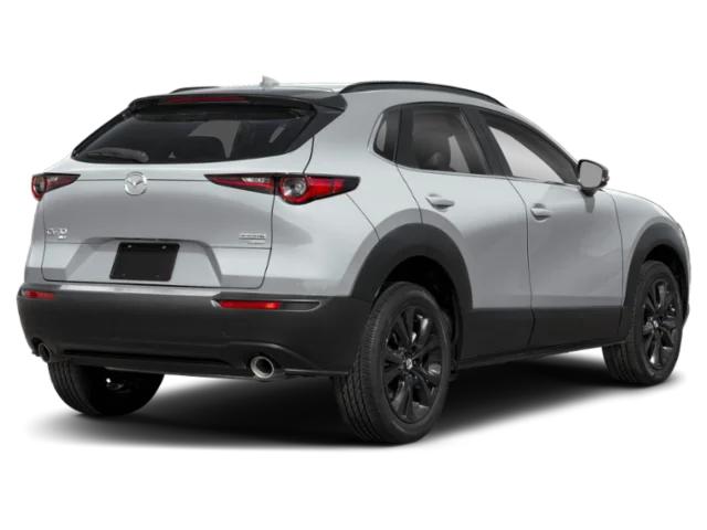 mazda cx-30 2025 3MVDMBDY3SM823148 image