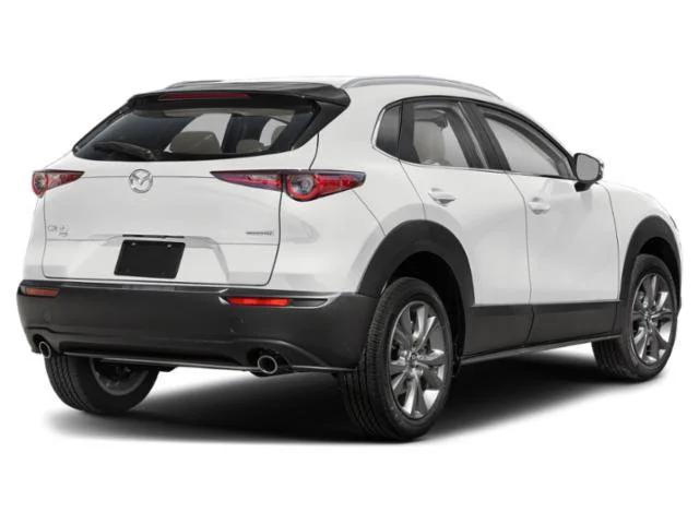 mazda cx-30 2025 3MVDMBCM4SM753903 image mazda cx-30 2025 3MVDMBCM4SM753903 image