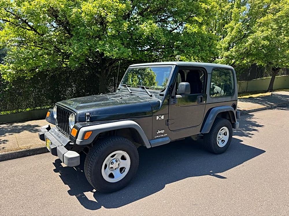 jeep wrangler 2003 1J4FA39S13P354810 image jeep wrangler 2003 1J4FA39S13P354810 image