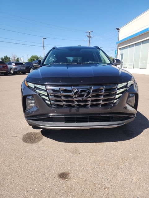 hyundai tucson 2023 5NMJECAE7PH164325 image hyundai tucson 2023 5NMJECAE7PH164325 image