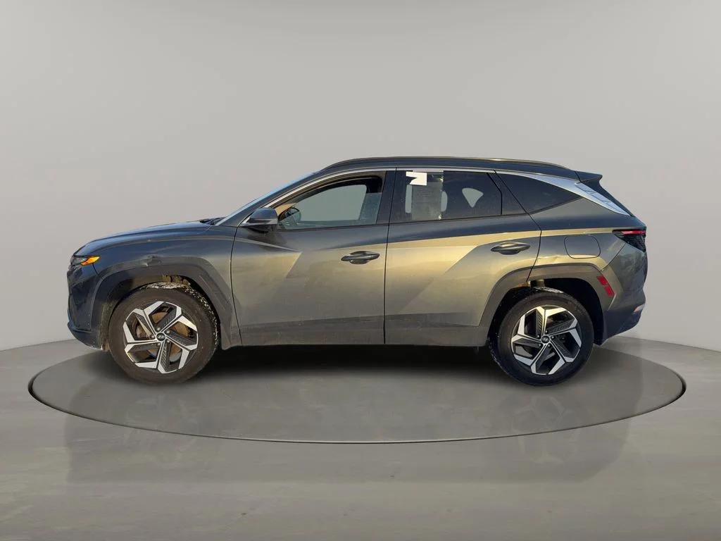 hyundai tucson 2023 5NMJECAE8PH234088 image hyundai tucson 2023 5NMJECAE8PH234088 image