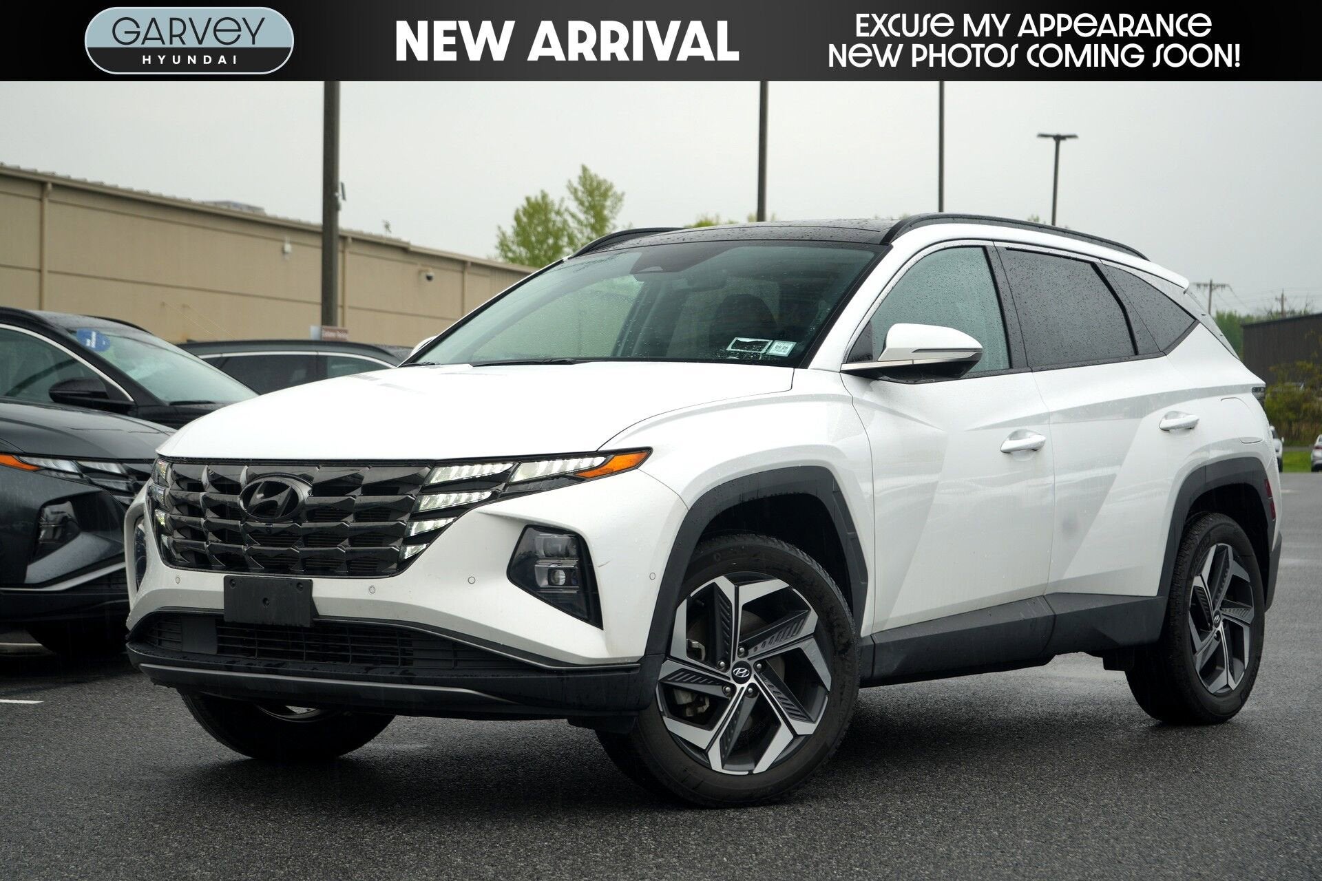 hyundai tucson 2023 5NMJECAEXPH278013 image hyundai tucson 2023 5NMJECAEXPH278013 image