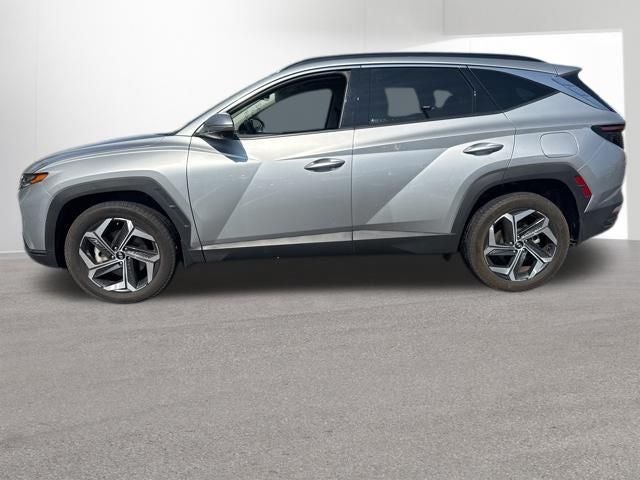 hyundai tucson 2023 5NMJECAEXPH255279 image hyundai tucson 2023 5NMJECAEXPH255279 image