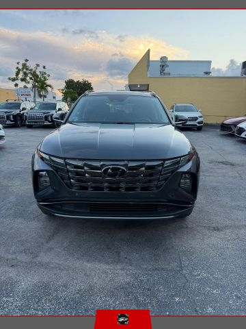hyundai tucson 2023 5NMJECAE0PH243786 image hyundai tucson 2023 5NMJECAE0PH243786 image