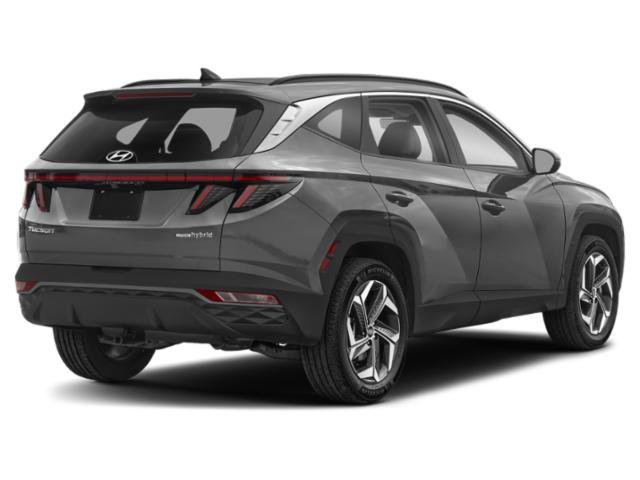 hyundai tucson 2023 KM8JBCA19PU123768 image hyundai tucson 2023 KM8JBCA19PU123768 image