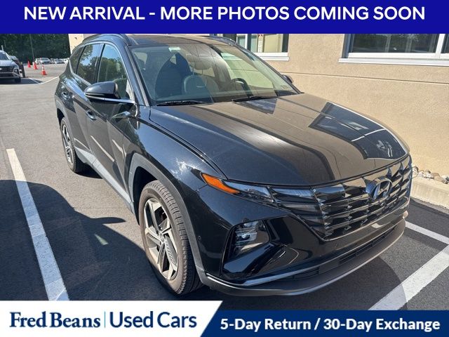 hyundai tucson 2023 5NMJECAE5PH242505 image hyundai tucson 2023 5NMJECAE5PH242505 image