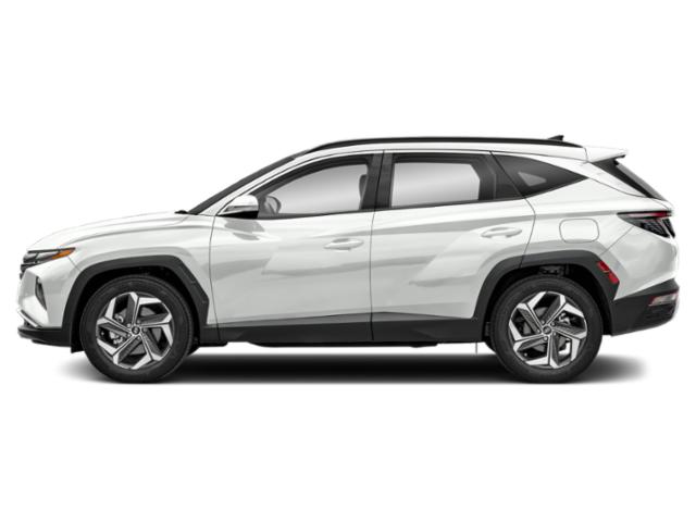 hyundai tucson 2024 5NMJECDE1RH436382 image hyundai tucson 2024 5NMJECDE1RH436382 image