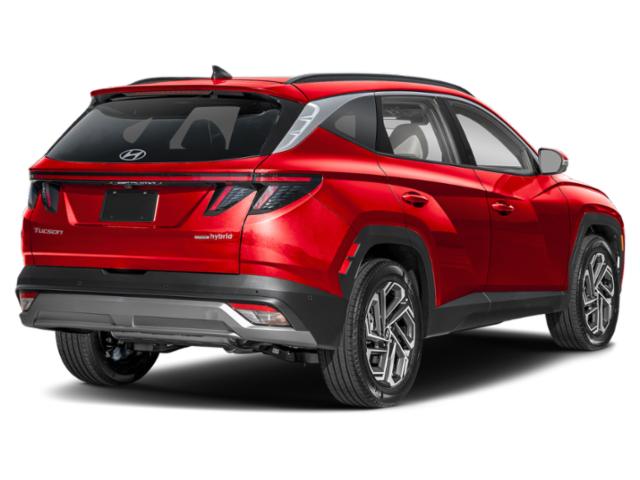 hyundai tucson 2025 KM8JEDD18SU295047 image hyundai tucson 2025 KM8JEDD18SU295047 image