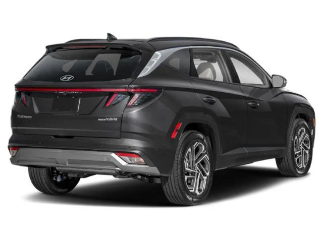 hyundai tucson 2025 KM8JEDD15SU310197 image hyundai tucson 2025 KM8JEDD15SU310197 image