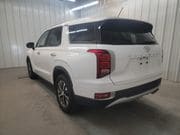 hyundai palisade 2020 KM8R2DHE2LU143601 image hyundai palisade 2020 KM8R2DHE2LU143601 image