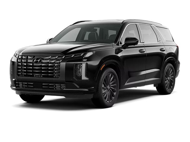 hyundai palisade 2025 KM8R7DGE4SU823467 image