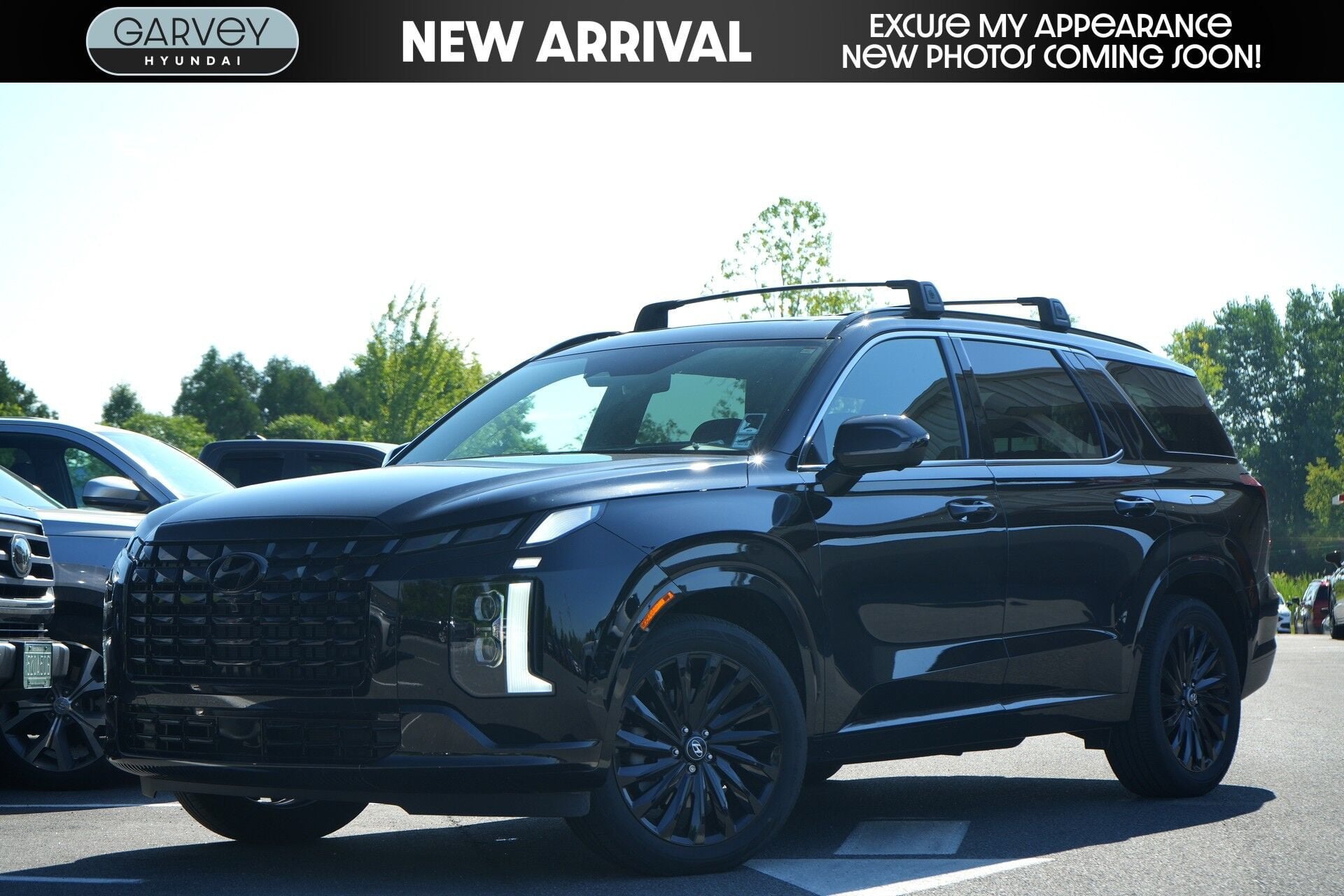 hyundai palisade 2025 KM8R7DGE7SU943408 image