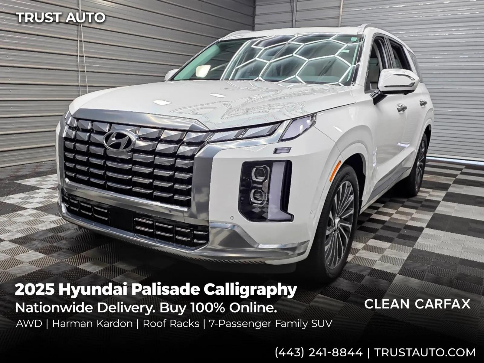 hyundai palisade 2025 KM8R7DGE7SU855605 image