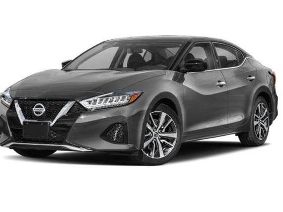 NISSAN MAXIMA 2022 1N4AA6CV3NC503142 image
