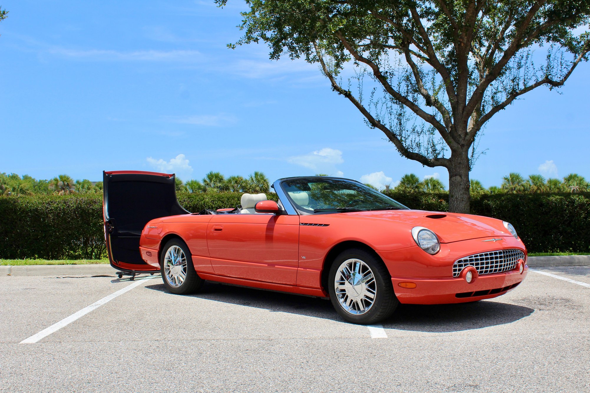 ford thunderbird 2003 1FAHP62A33Y103321 image ford thunderbird 2003 1FAHP62A33Y103321 image