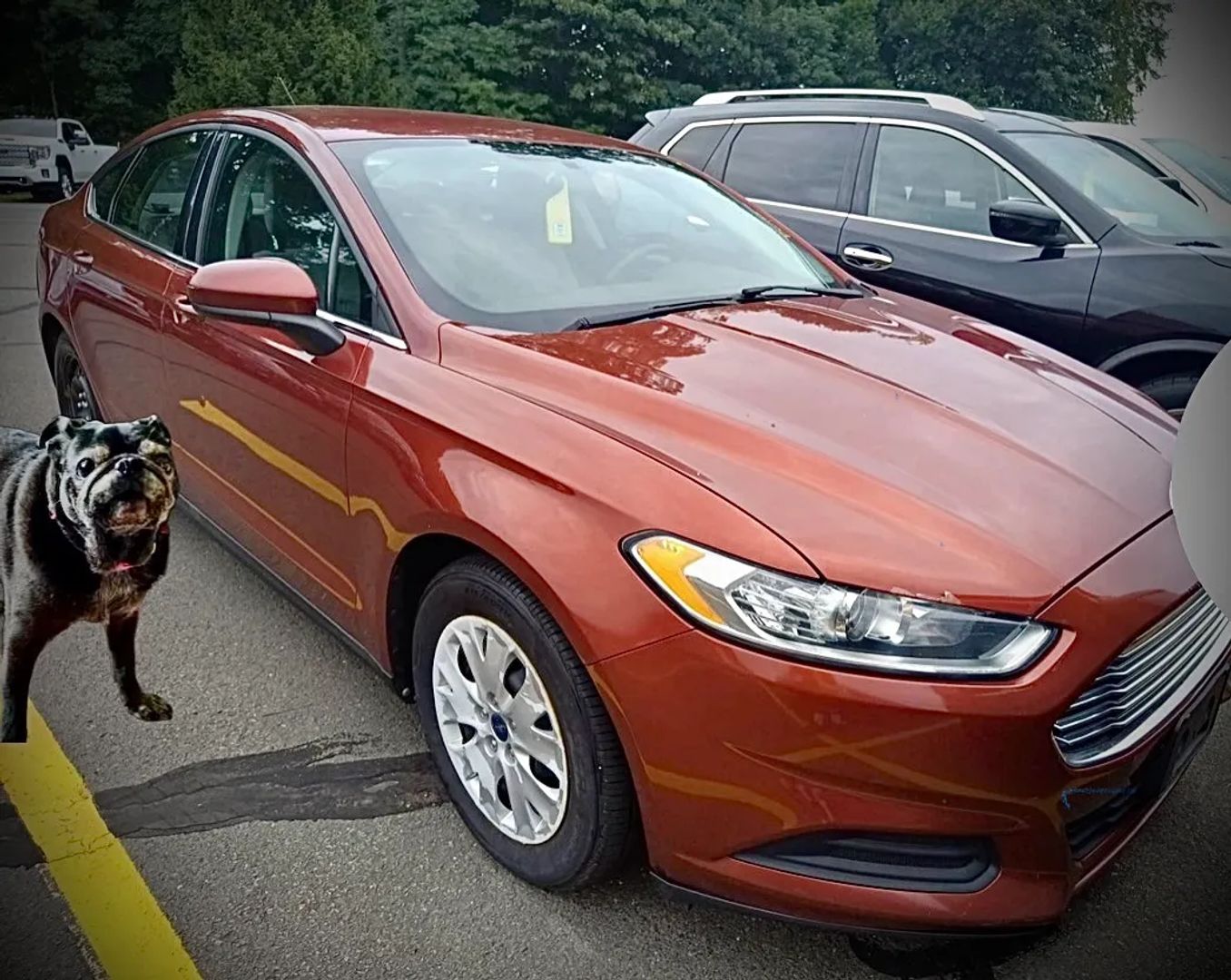 ford fusion 2014 3FA6P0G75ER250405 image ford fusion 2014 3FA6P0G75ER250405 image
