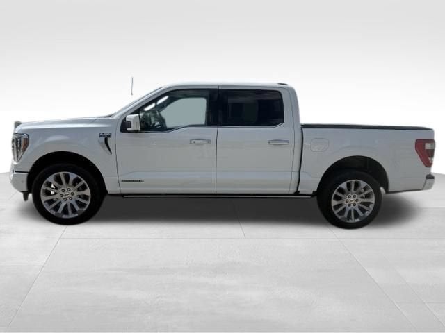 ford f-150 2023 1FTFW1ED0PFA44856 image ford f-150 2023 1FTFW1ED0PFA44856 image