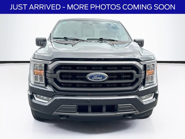ford f-150 2023 1FTEX1EP2PFB60224 image ford f-150 2023 1FTEX1EP2PFB60224 image