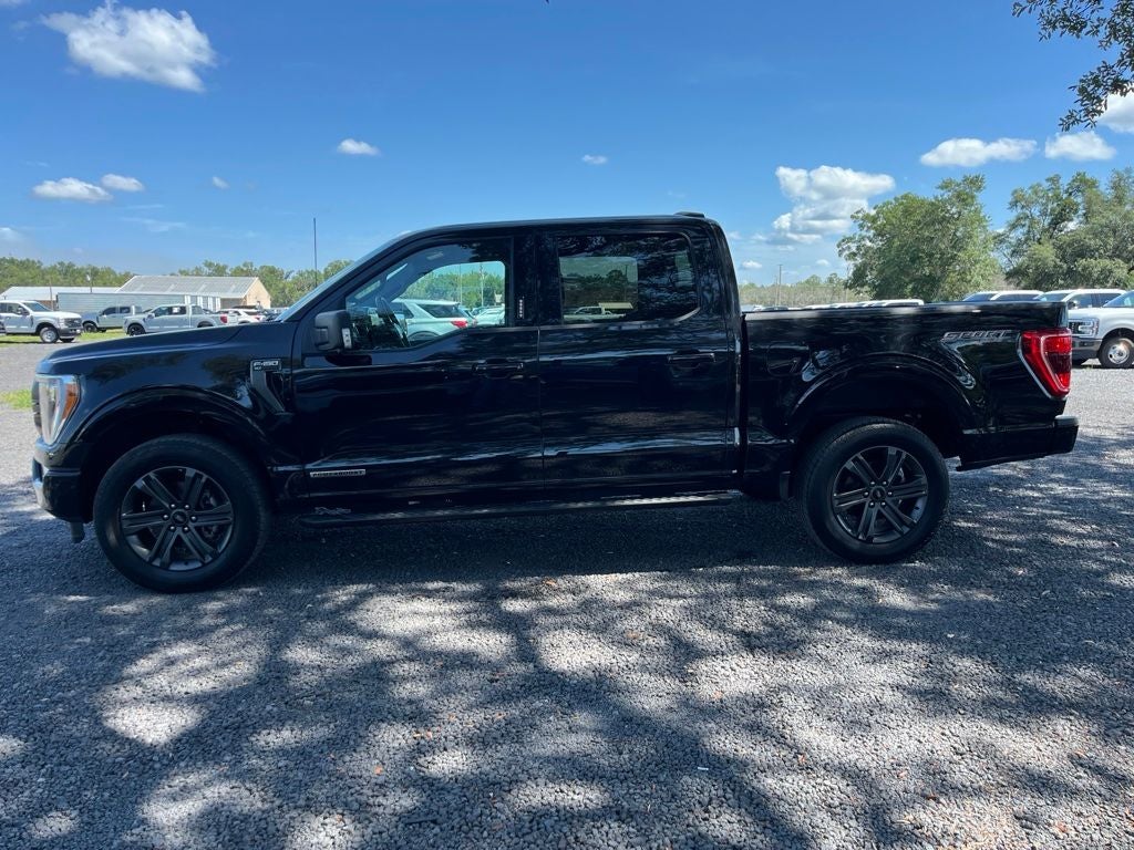 ford f-150 2023 1FTFW1ED7PFD09661 image ford f-150 2023 1FTFW1ED7PFD09661 image