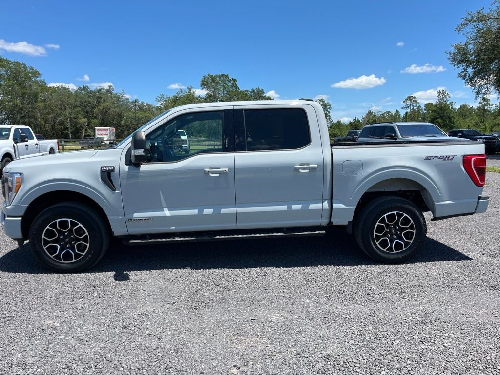 ford f-150 2023 1FTFW1ED2PFB13255 image ford f-150 2023 1FTFW1ED2PFB13255 image