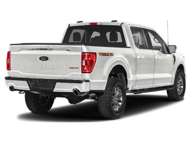 ford f-150 2023 1FTFW1E5XPFB99438 image ford f-150 2023 1FTFW1E5XPFB99438 image