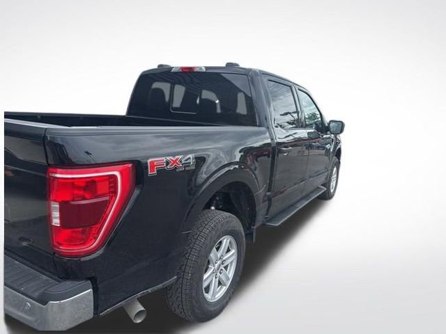 ford f-150 2023 1FTFW1E53PFB52669 image ford f-150 2023 1FTFW1E53PFB52669 image